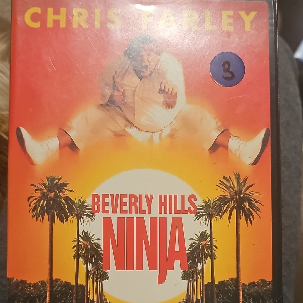 Beverly Hills Ninja DVD
